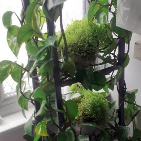 Beautiful King Room In Leith Walk 爱丁堡 外观 照片